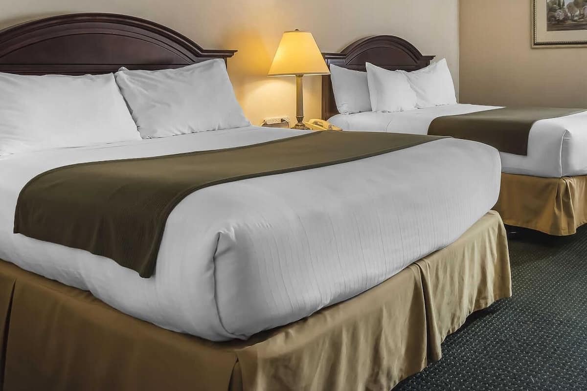 Down comforters, desk, blackout drapes, soundproofing