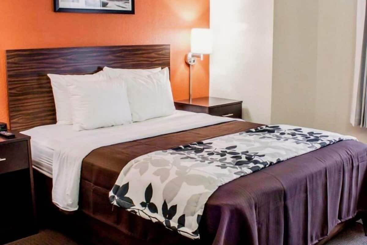A hotel room with a bed, a nightstand, a lamp, and a framed picture on the wall.