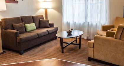 Sleep Inn Arlington Near Six Flags