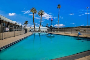 Outdoor pool, sun loungers