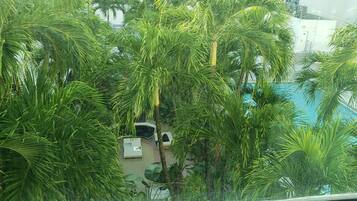 Vista de un área de piscina rodeada de exuberantes palmeras.