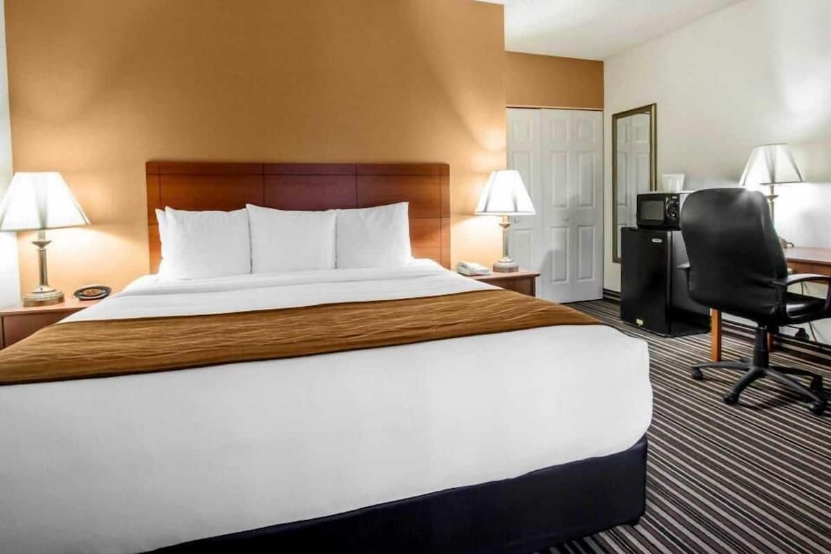 Hypo-allergenic bedding, desk, blackout drapes, iron/ironing board