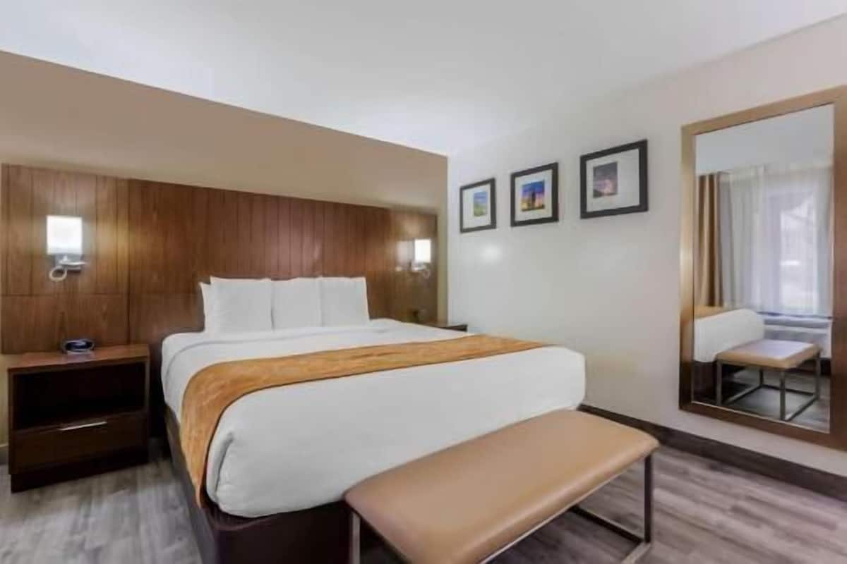 A hotel room with a bed, bedside table, bench, wall-mounted lights, framed pictures, and a large mirror.