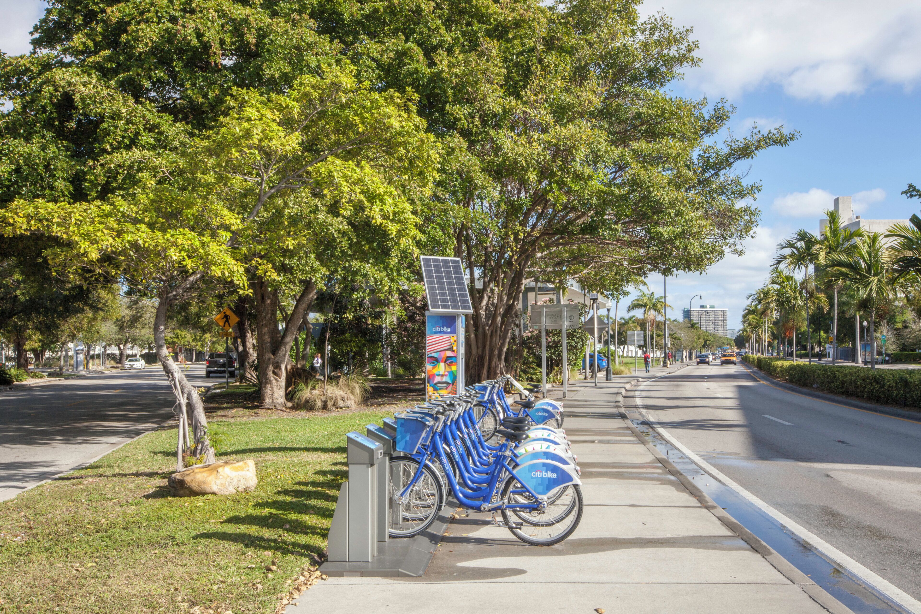 A row of blue Citi Bike stations along a tree-lined street.