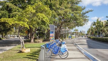 Une rangée de stations de vélos en libre-service Citi Bike, le long d’une rue bordée d’arbres.