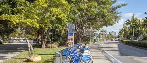 A row of blue Citi Bike stations along a tree-lined street.