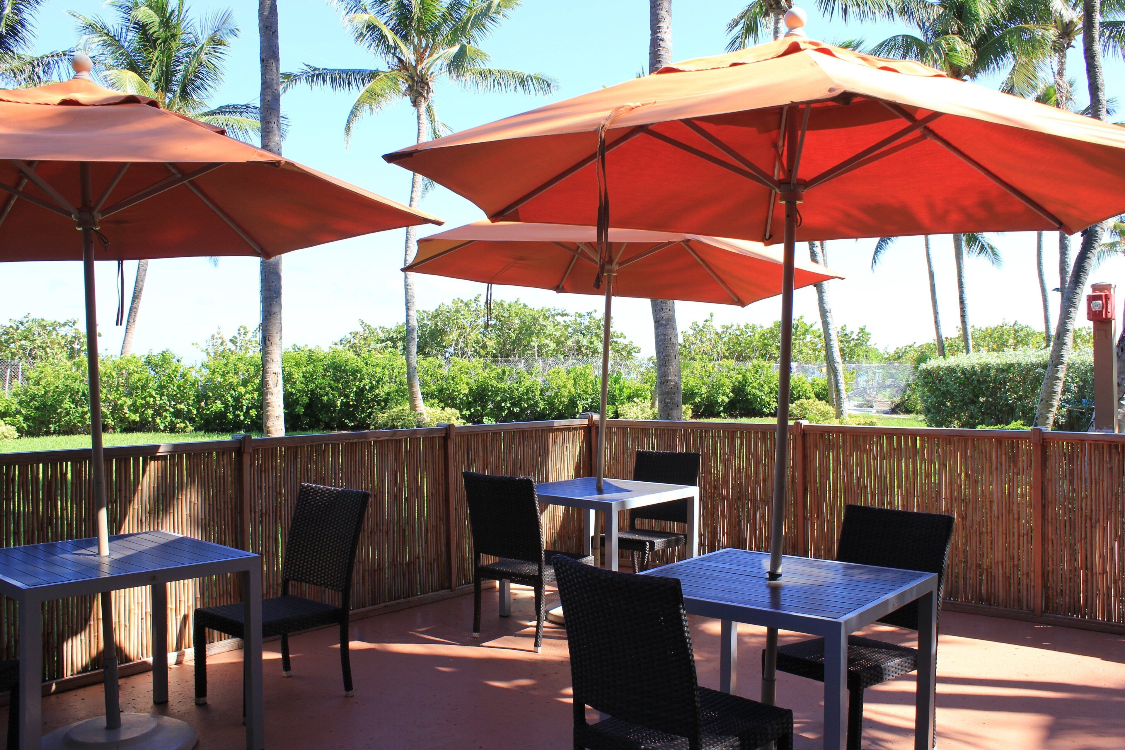 Une terrasse extérieure avec des tables et des chaises, entourée d’une clôture en bambou, et des palmiers en arrière-plan.