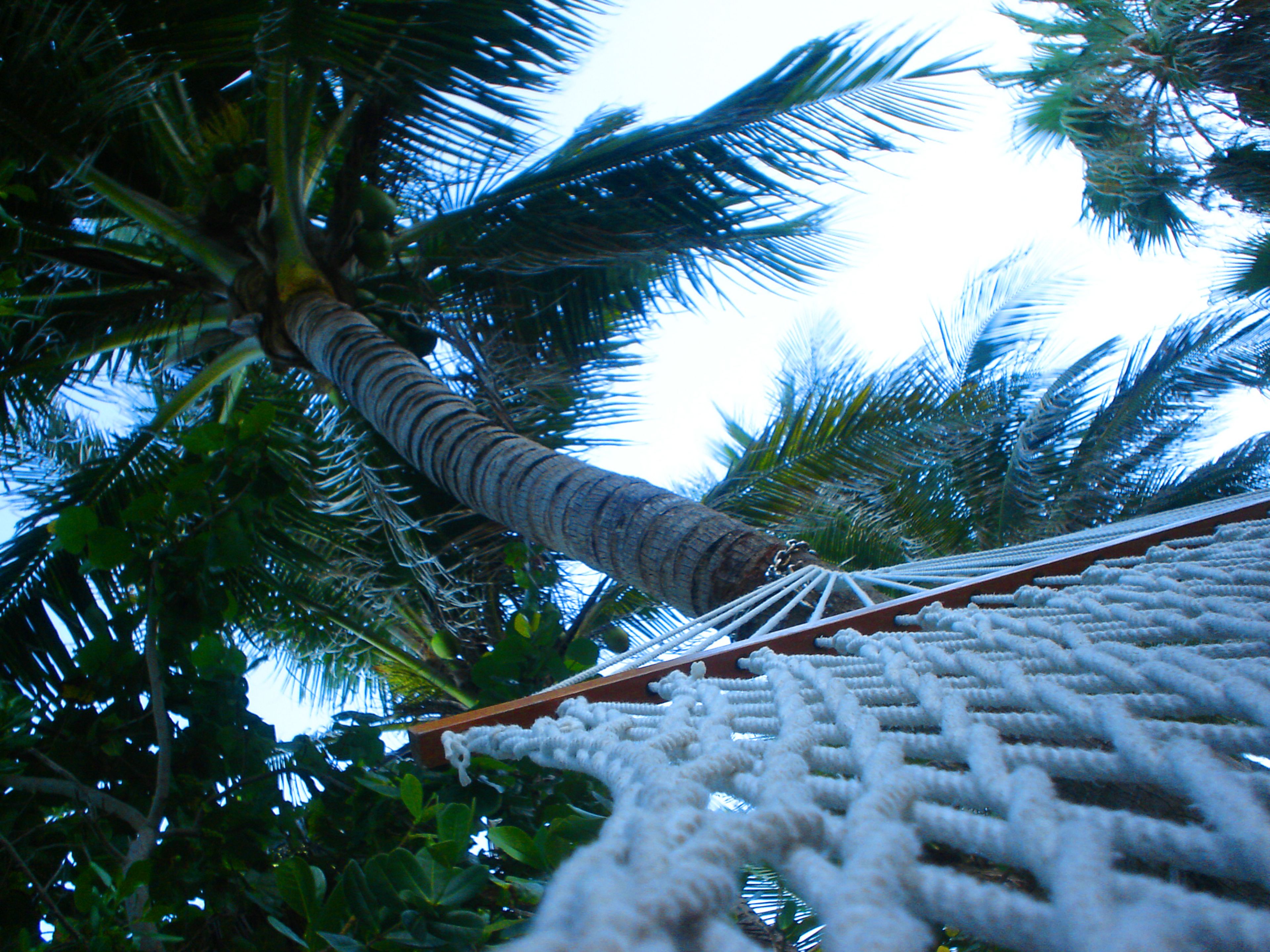 Photo - Holiday Inn Miami Beach-Oceanfront by IHG