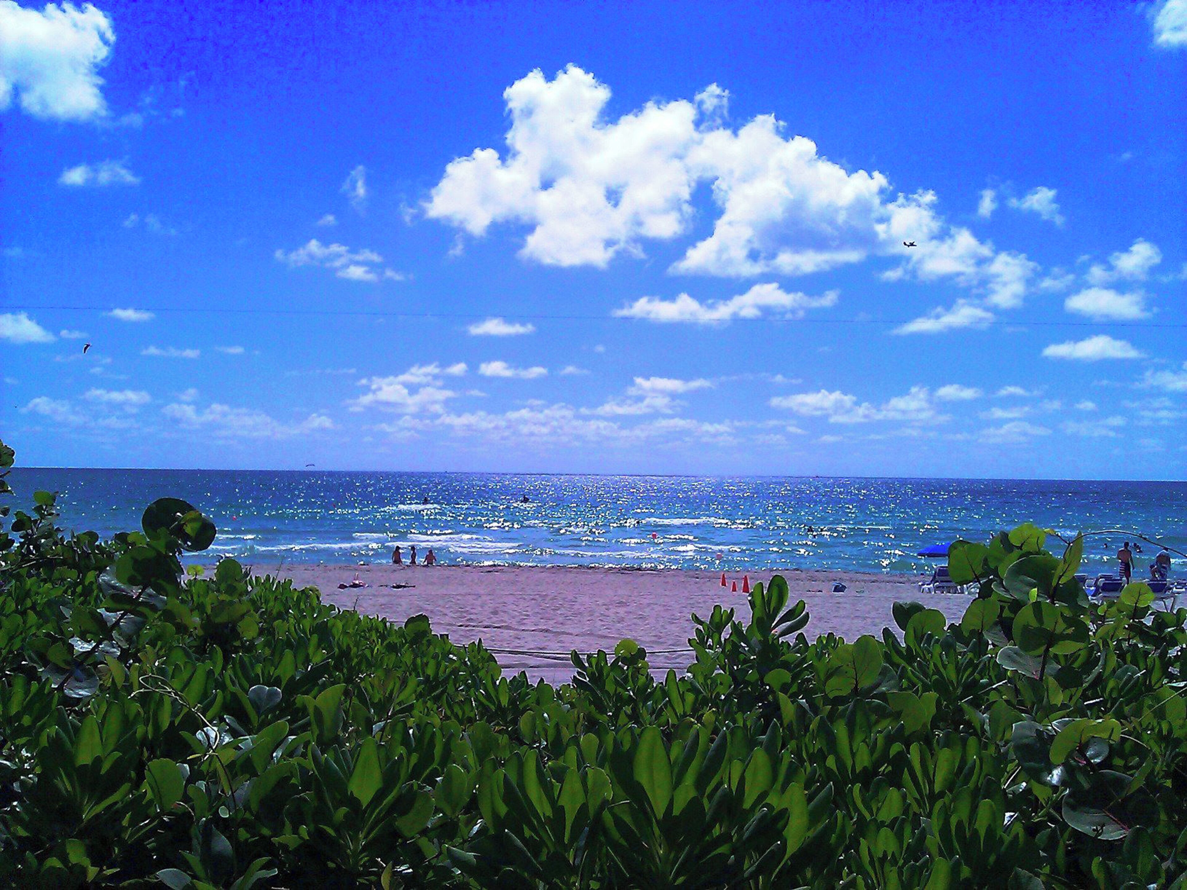 Strand