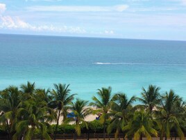 A beach with palm trees and the ocean.