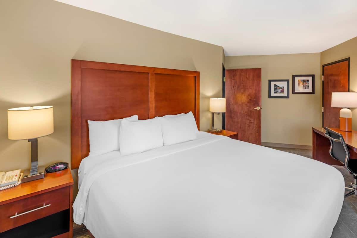 Suite, 1 King Bed with Sofa bed, Non Smoking, Mountain View | Premium bedding, desk, blackout drapes, iron/ironing board