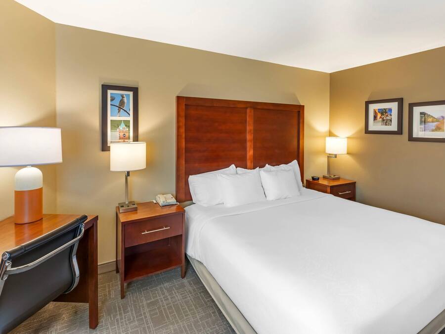 Quarto de hotel com cama, escrivaninha, cadeira, mesas de cabeceira, abajures e quadros nas paredes.