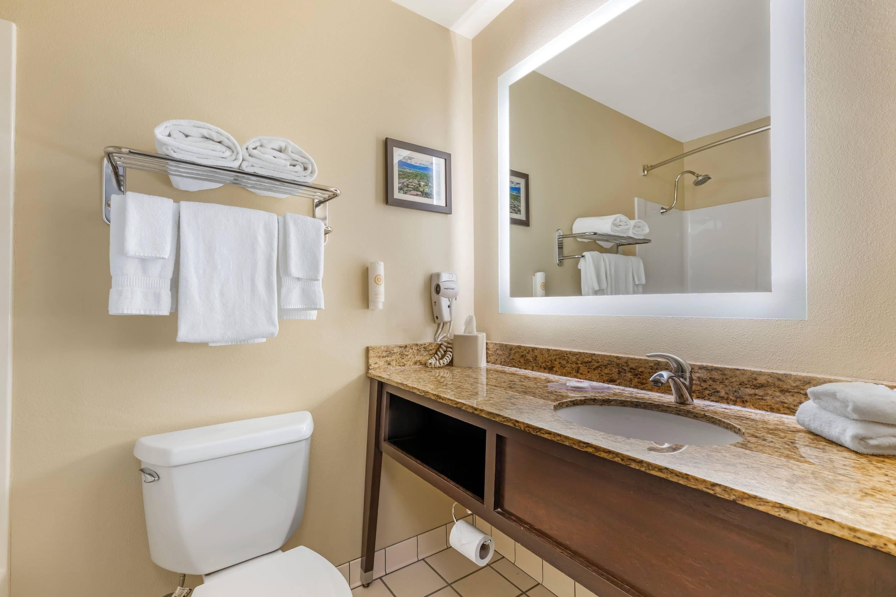 Une salle de bain équipée de toilettes, d’un lavabo, d’un porte-serviettes et d’un grand miroir.