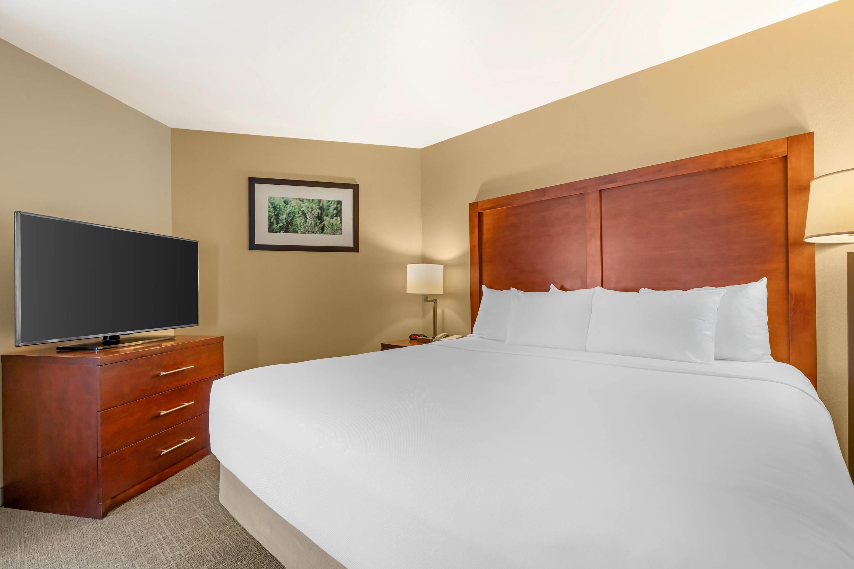A hotel room with a large bed, a wooden dresser, a television, a nightstand with a lamp, and a framed picture on the wall.
