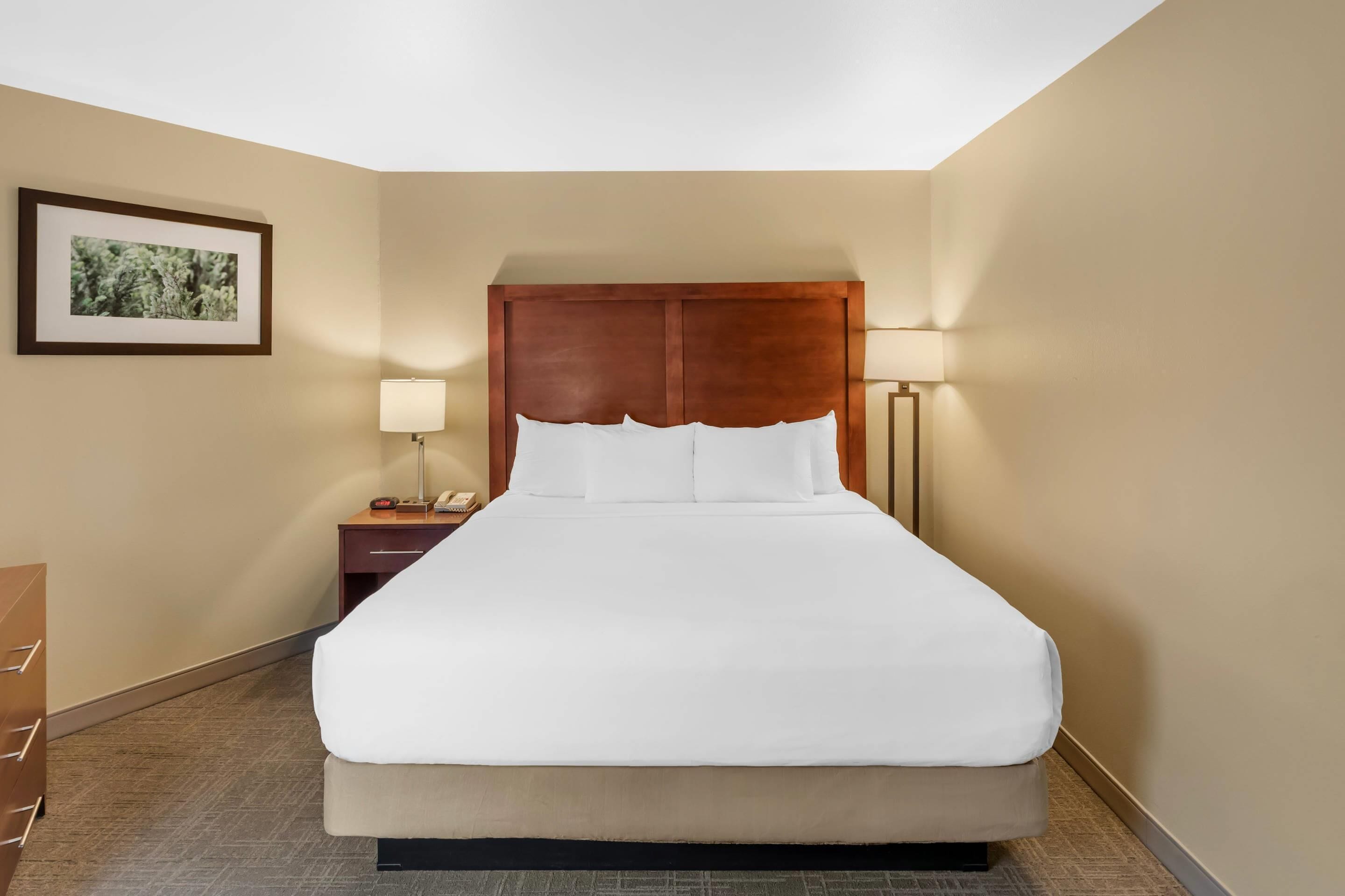 Suite, 1 King Bed with Sofa bed, Non Smoking, Balcony, River View | Premium bedding, desk, blackout drapes, iron/ironing board
