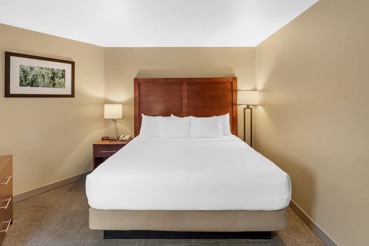Suite, 1 King Bed with Sofa bed, Non Smoking, Balcony, River View | Premium bedding, desk, blackout drapes, iron/ironing board