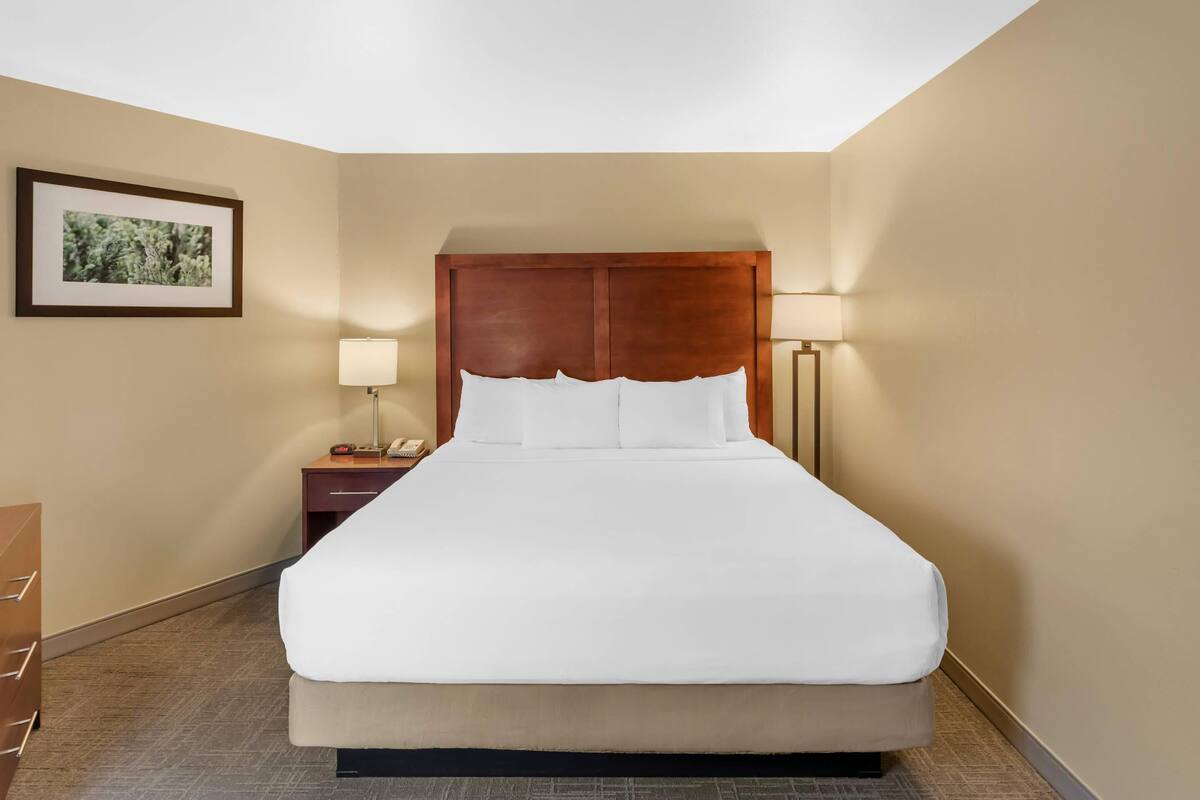 A hotel room with a large bed, a nightstand with a lamp, a framed picture on the wall, and a wooden headboard.