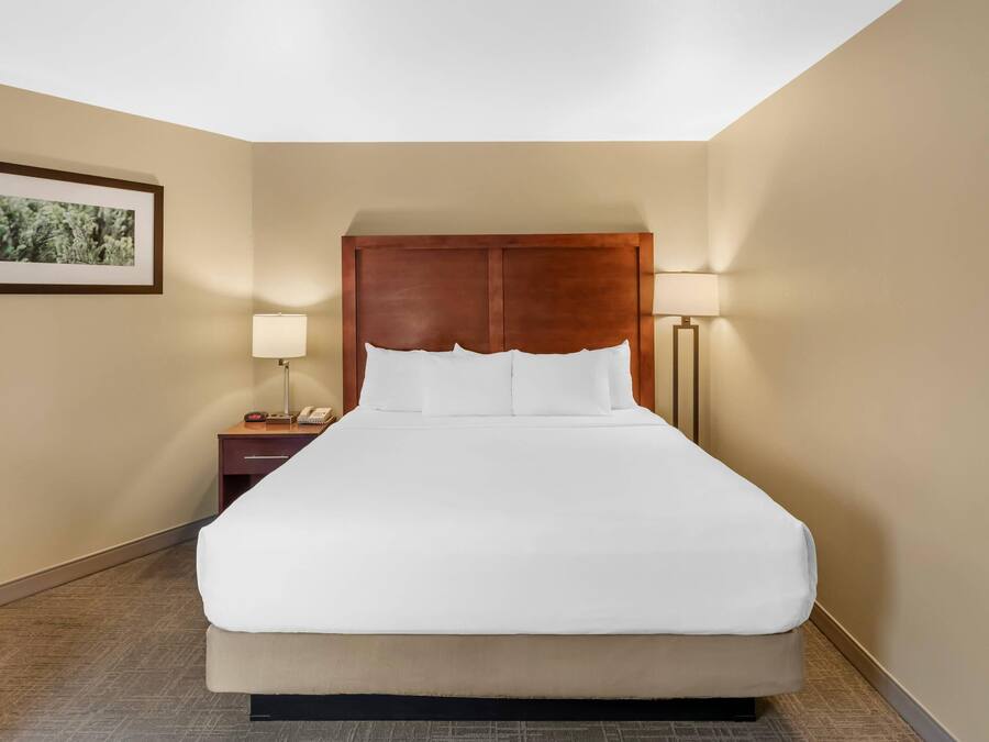Une chambre d’hôtel avec un grand lit, une table de chevet avec une lampe, un tableau encadré au mur et une tête de lit en bois.
