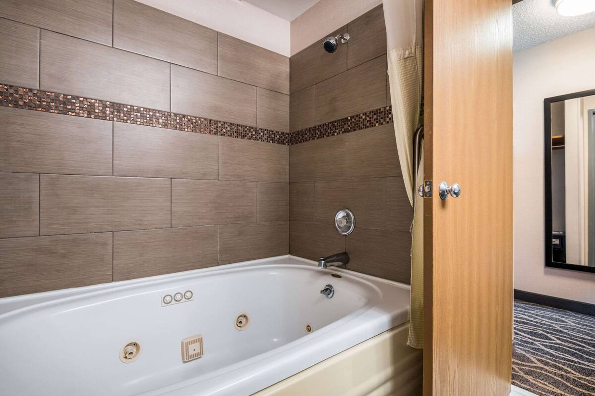 combined shower/bathtub, free toiletries, hair dryer, towels