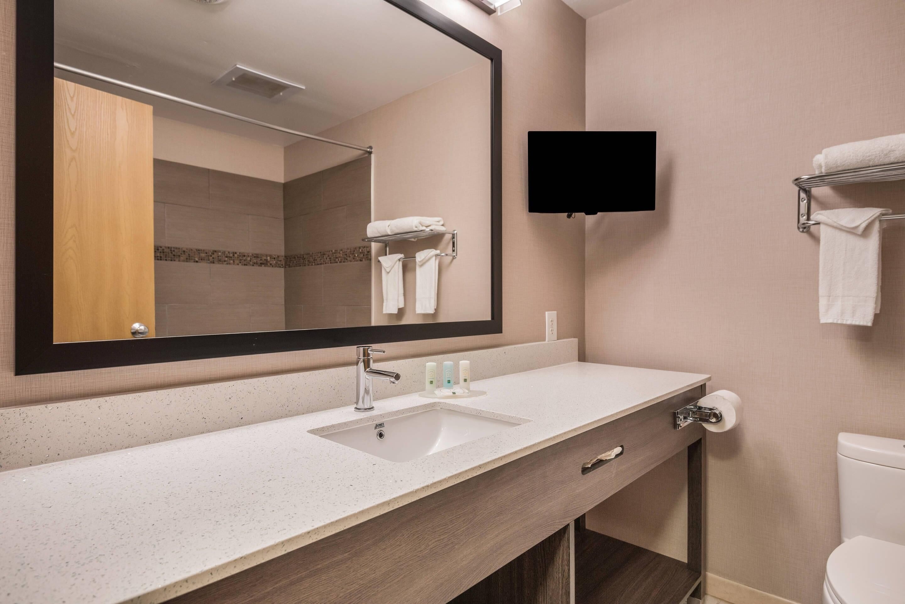 A bathroom with a large mirror, a sink, a toilet, and a TV mounted on the wall.