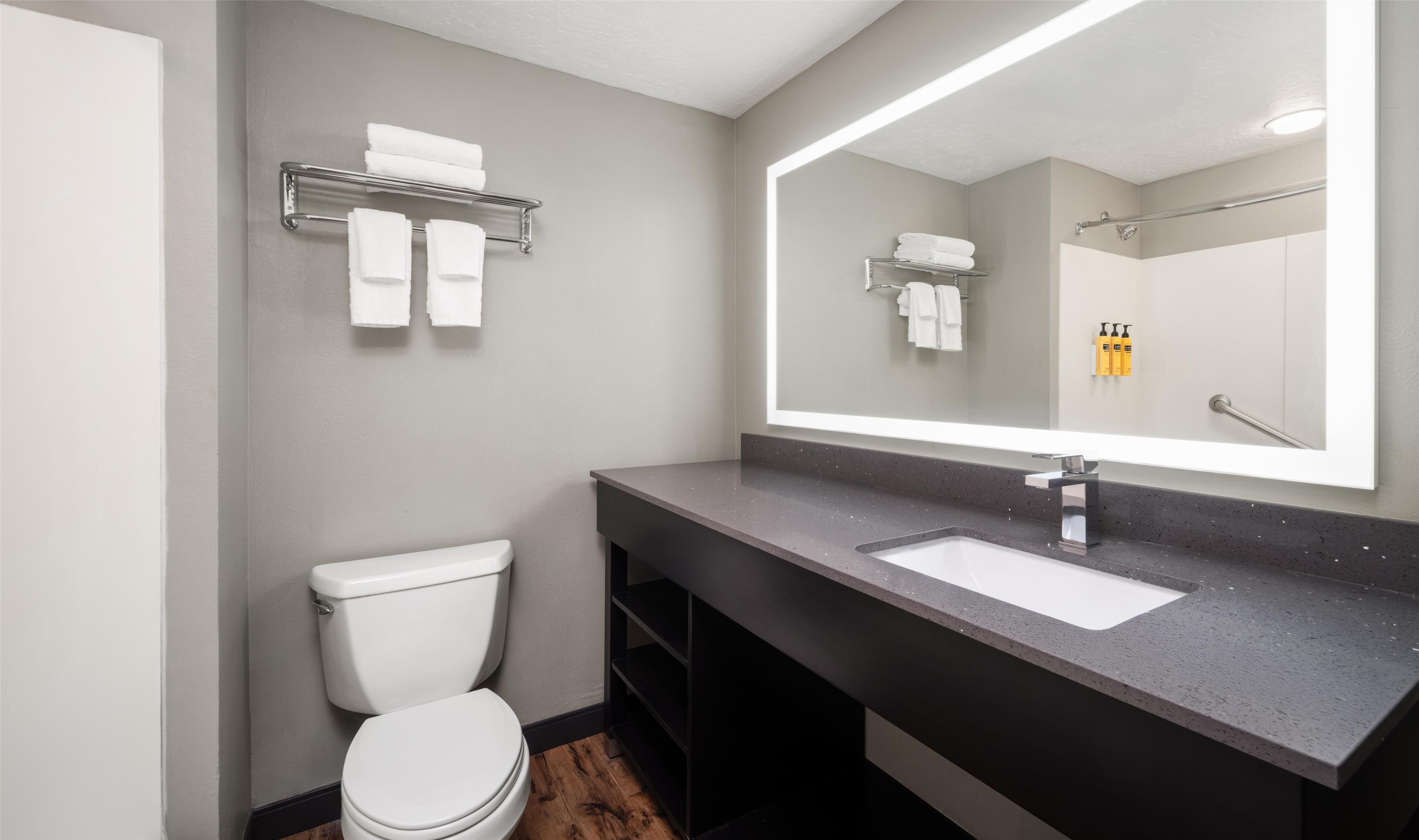 A modern bathroom with a white toilet, a large mirror, and a dark countertop.