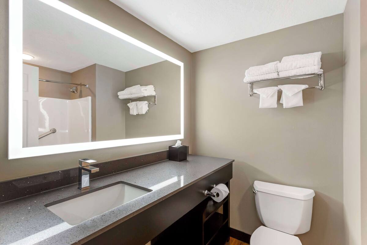 combined shower/bathtub, free toiletries, hair dryer, towels