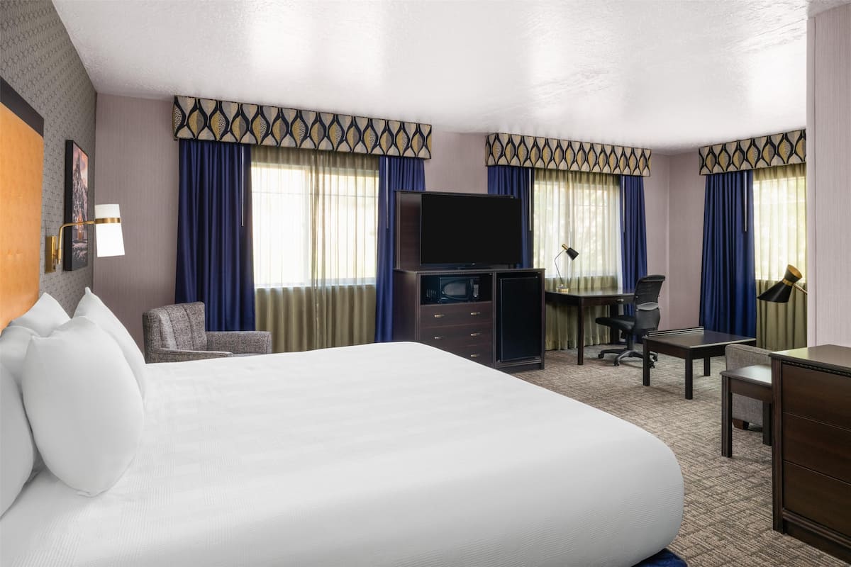 Suite, 1 King Bed, Accessible, Bathtub (with Single Sofabed) | Hypo-allergenic bedding available, pillowtop beds, in-room safe, desk
