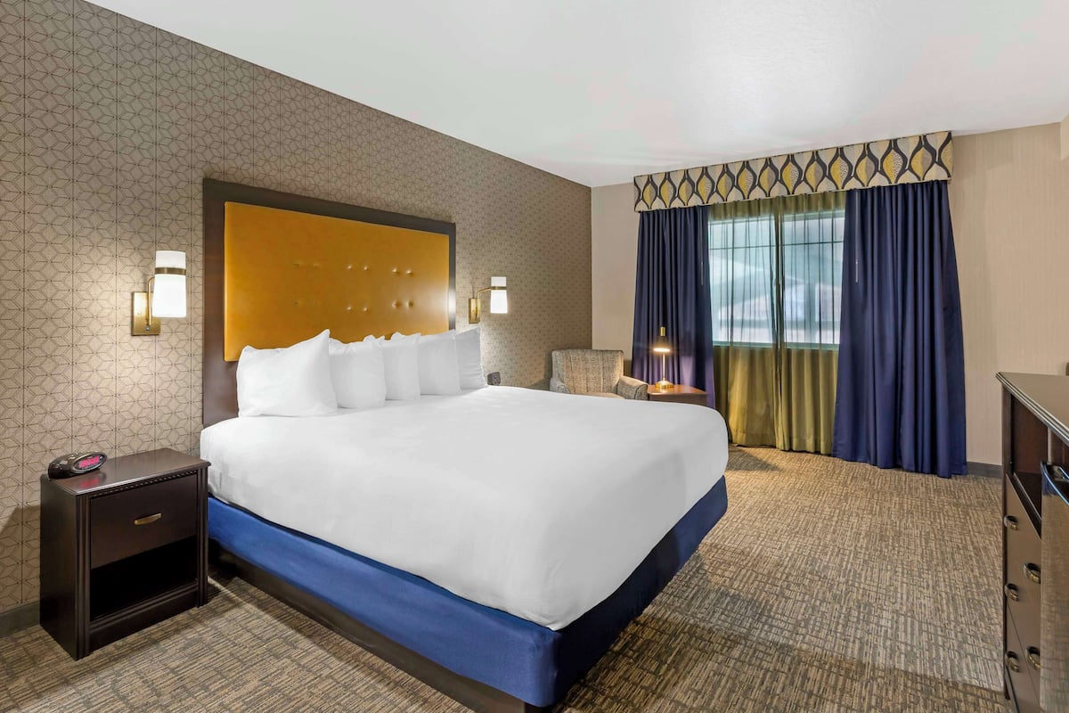 Executive Room, 1 King Bed, Refrigerator & Microwave, Pool View
