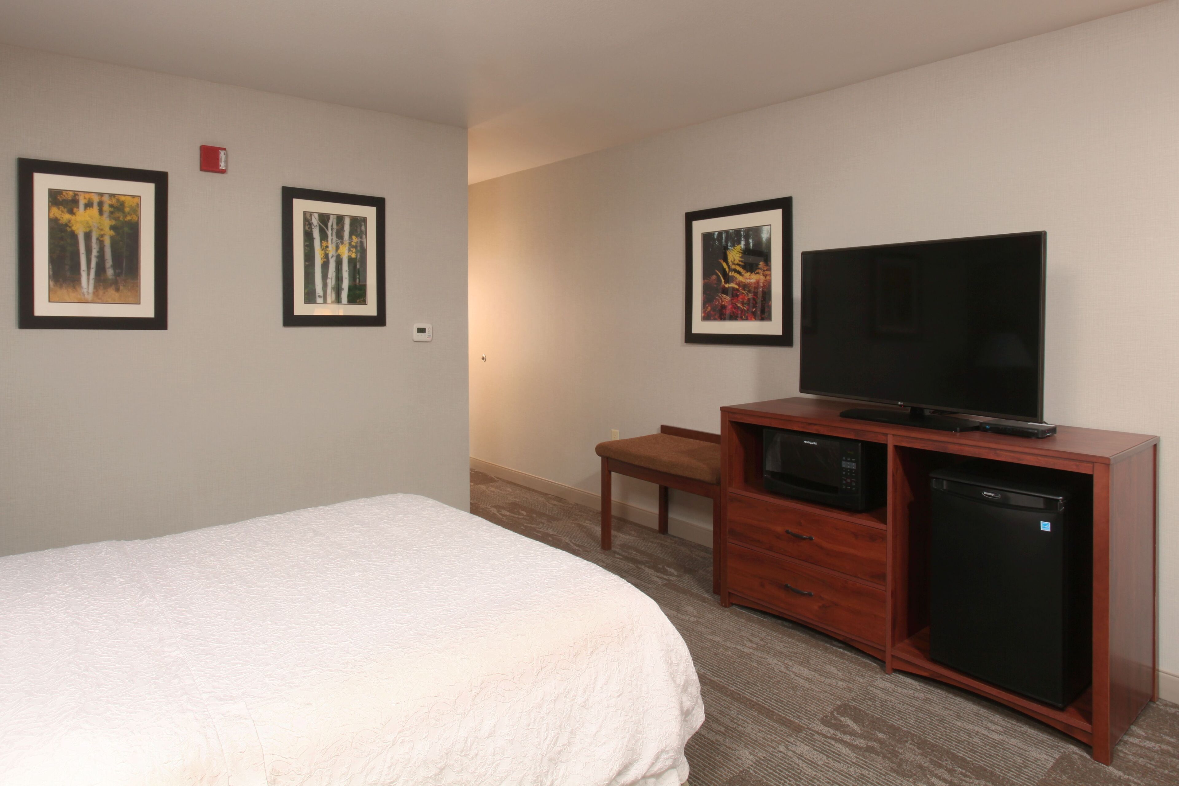 A hotel room with a bed, a TV on a wooden cabinet, a microwave, and a refrigerator. There are framed pictures on the wall.