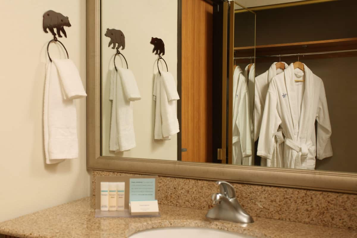 free toiletries, hair dryer, towels, soap