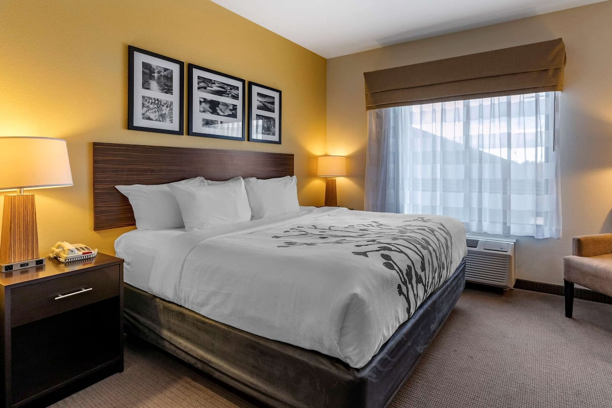 suite, 1 king bed with sofa bed, non smoking | premium bedding, pillow-top beds, in-room safe, desk
