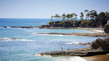 Uma área costeira com terreno rochoso, palmeiras e uma praia.