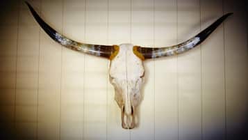 Cráneo de vaca con cuernos montado sobre una pared a rayas.