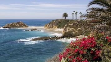 Playa en los alrededores 