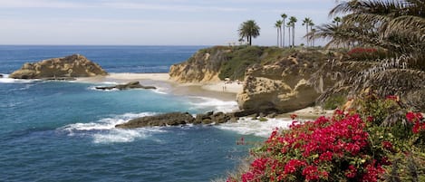 Playa en los alrededores 