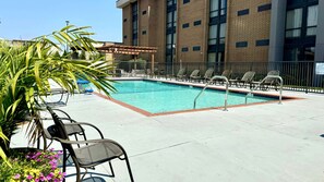 Seasonal outdoor pool, sun loungers