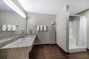 Quarto, 1 cama King, acessível, para não fumantes (Mobility) | Banheiro | Produtos de toalete grátis, secador de cabelo, toalhas de banho