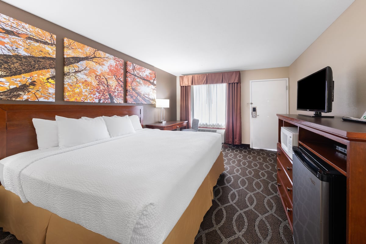 A hotel room with a large bed, a TV, a desk with a microwave, and a patterned carpet.