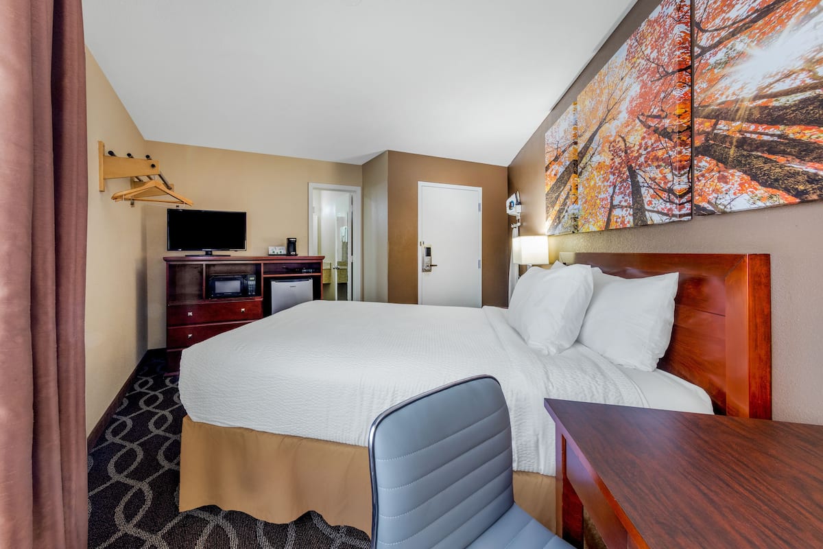 A hotel room with a large bed, a desk, a chair, a television, and a painting on the wall.