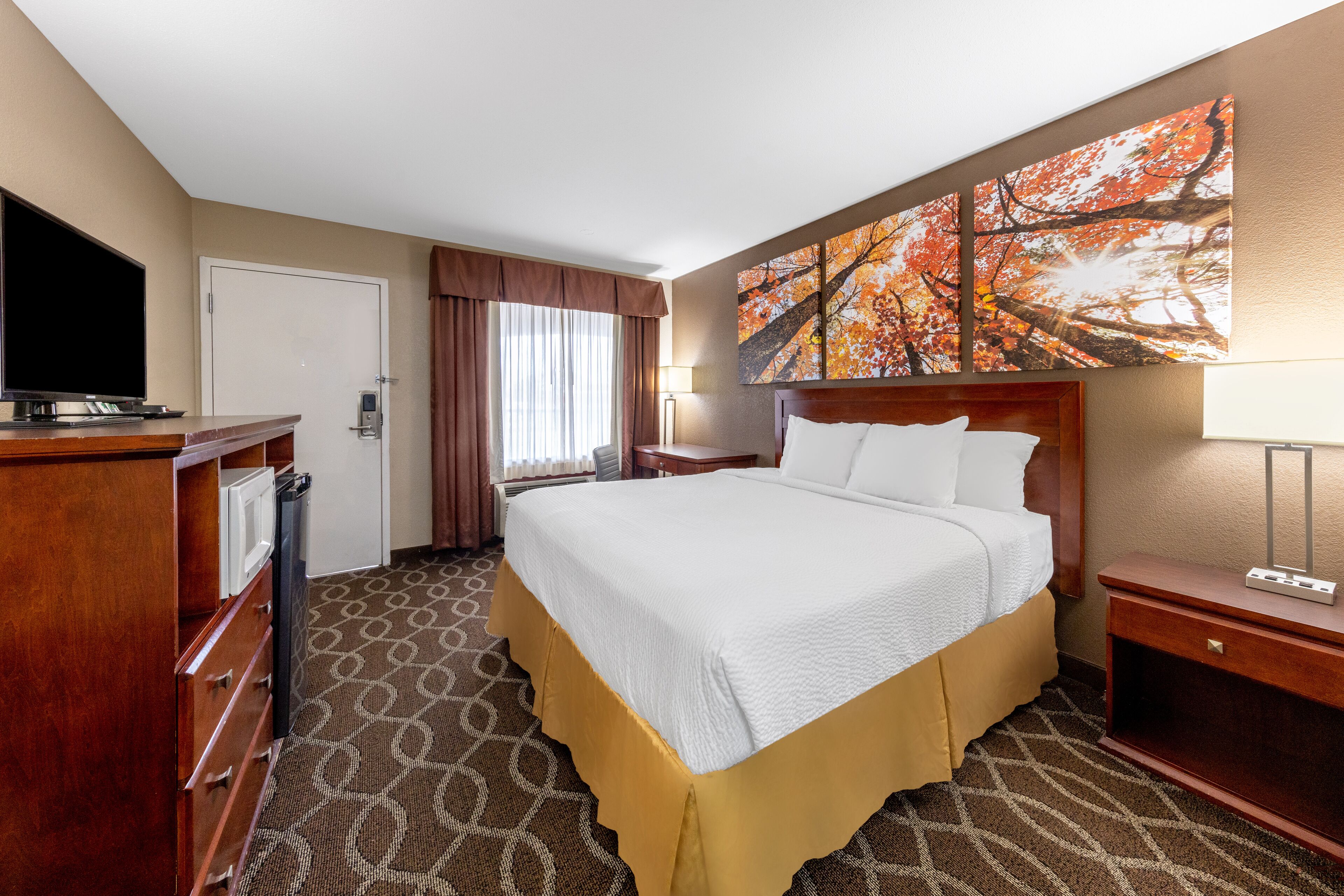 A hotel room with a large bed, a TV, a desk, and a painting on the wall.
