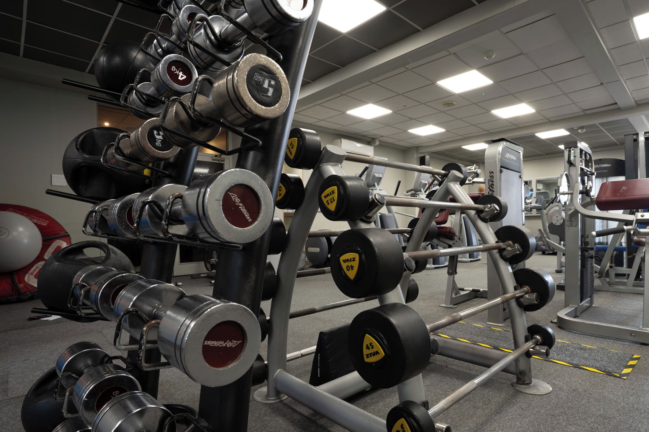 Un gimnasio con diverso equipamiento para levantamiento de pesas, incluyendo mancuernas y barras.