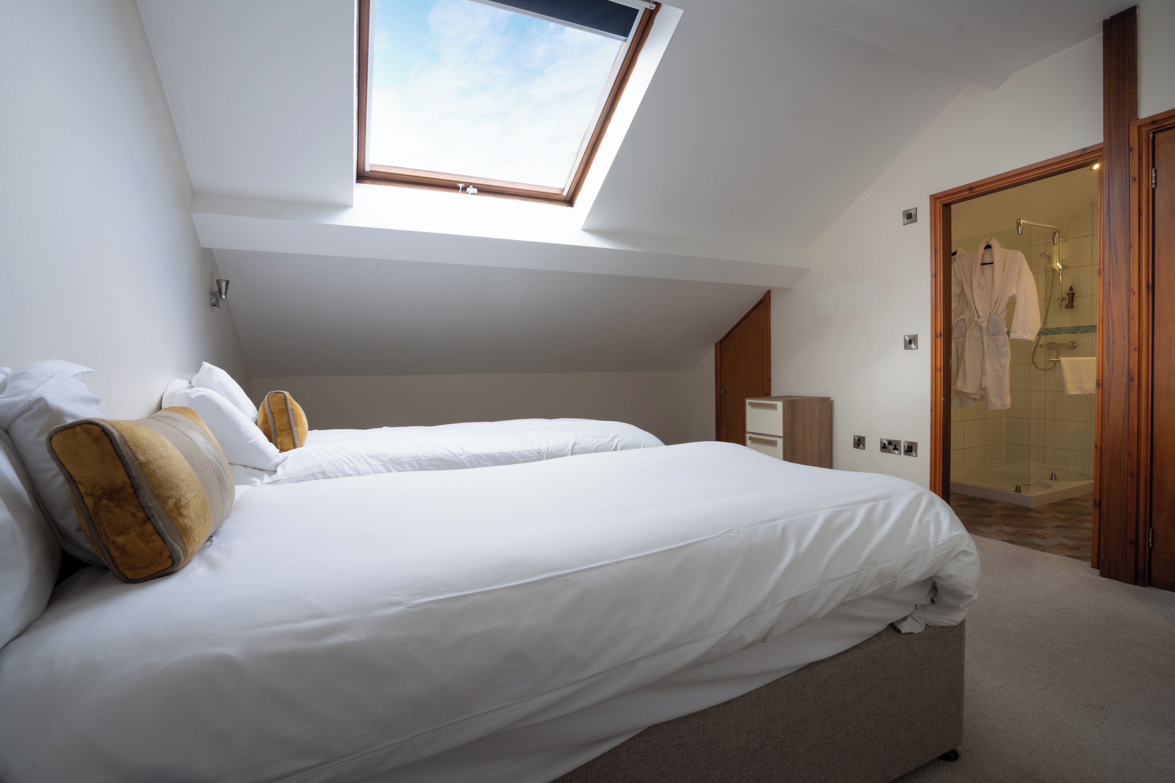 A bedroom with a skylight, two beds, a walk-in closet, and a bathroom with a glass shower.