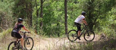 Two cyclists on a dirt trail surrounded by trees.