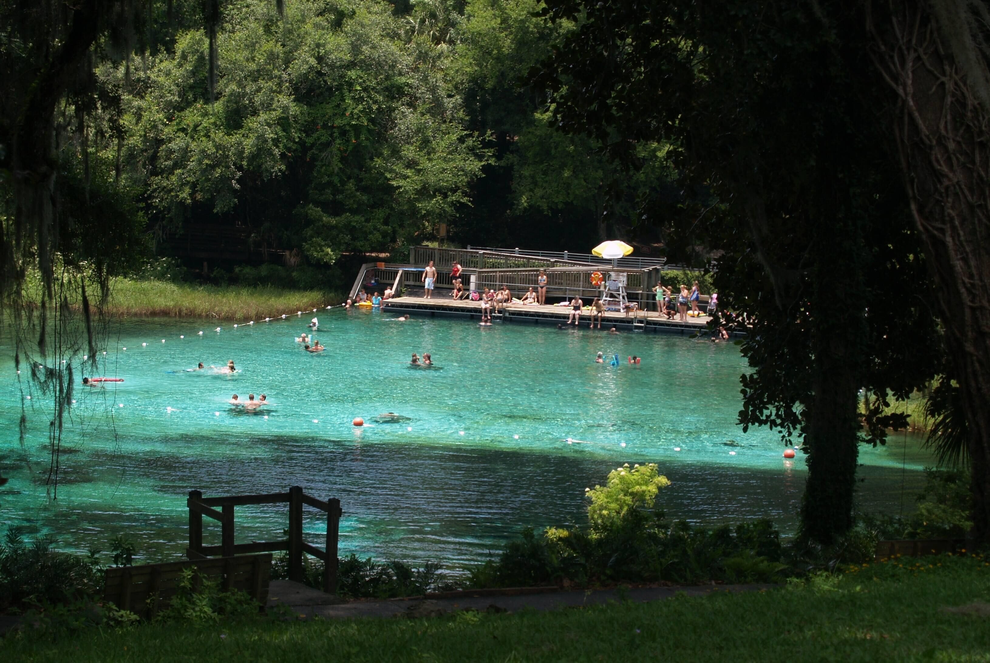 A swimming pool surrounded by trees with people swimming and a dock area.