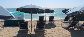 Ocean Surf Hotel - In Miami Beach (North Beach)