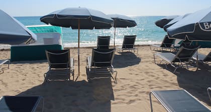 Ocean Surf Hotel - In Miami Beach (North Beach)