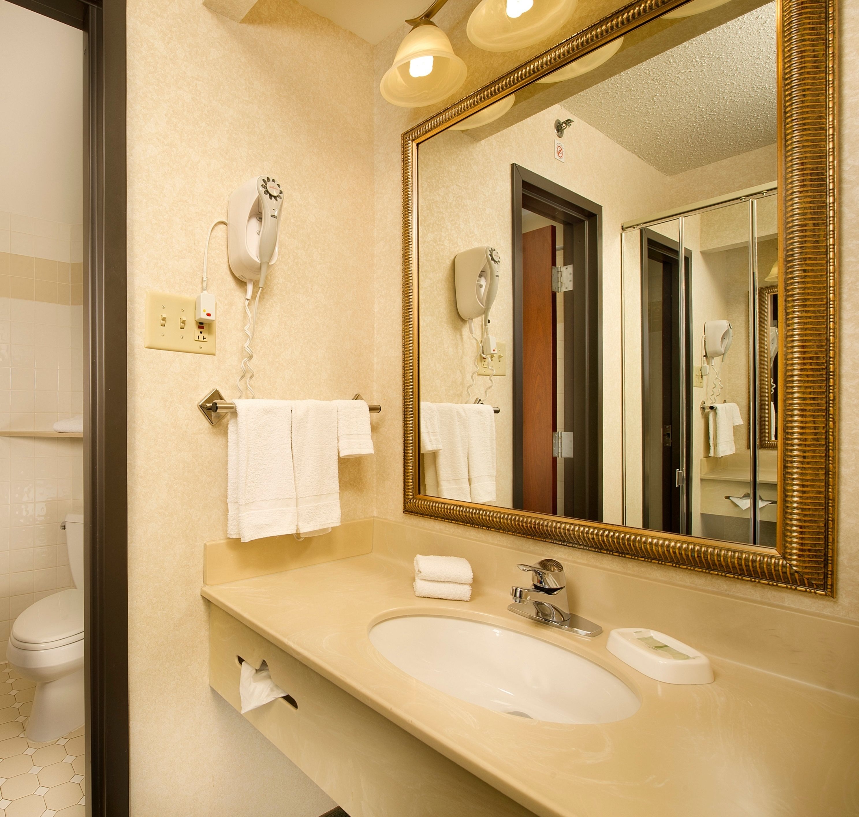 combined shower/bathtub, free toiletries, hair dryer, towels