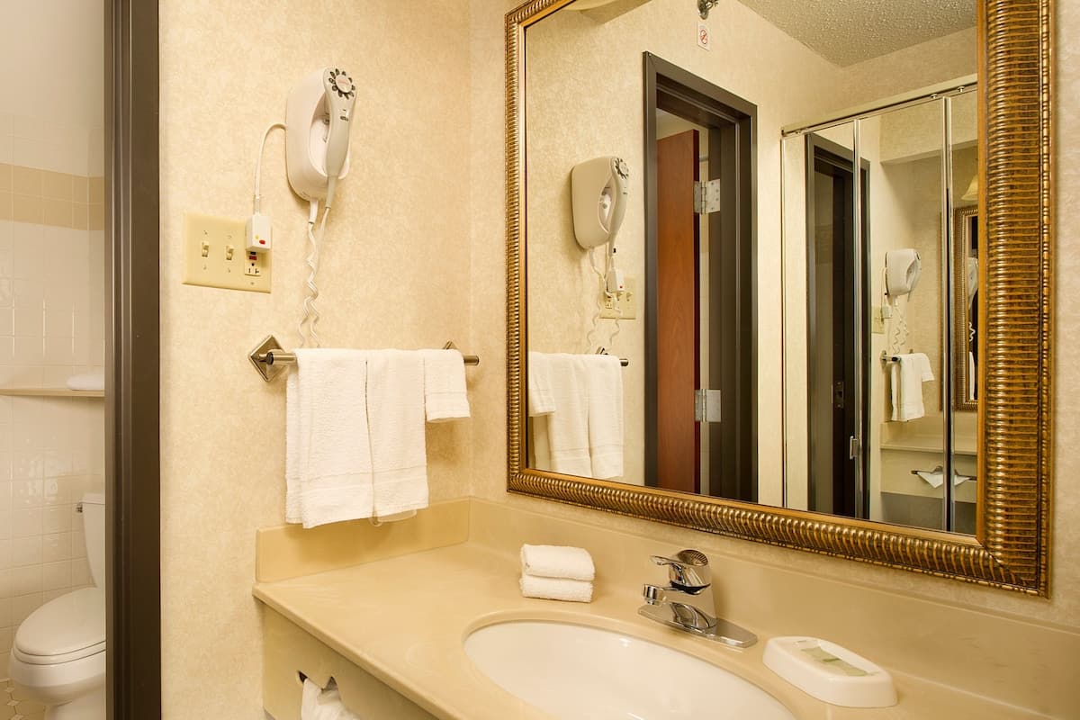 combined shower/bathtub, free toiletries, hair dryer, towels