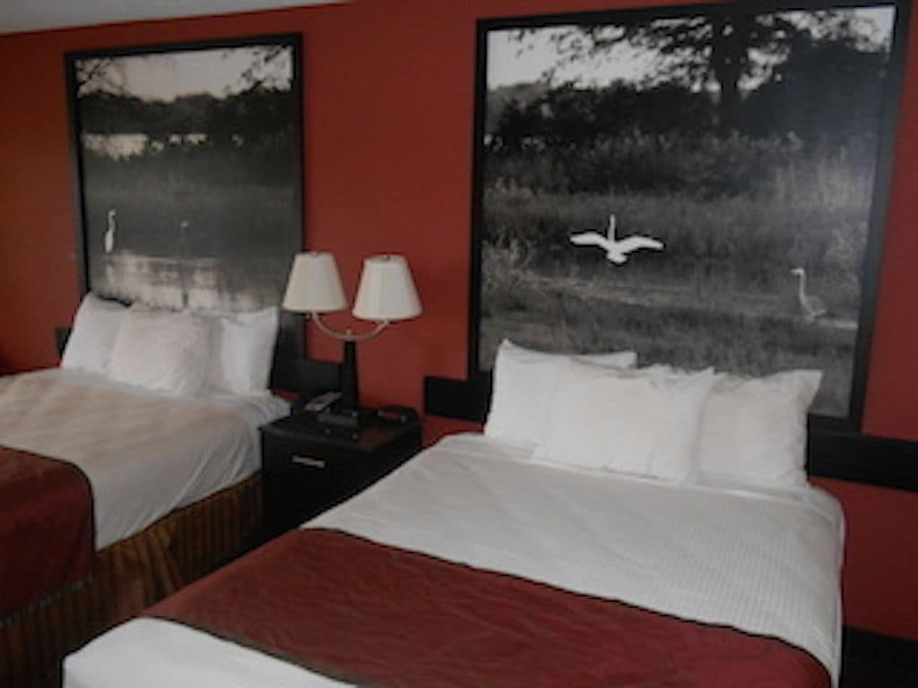 A hotel room with two beds, each with white linens and red bedding. There are two bedside tables with lamps. The walls are painted red, and there are two large black-and-white photographs of nature scenes above the beds.