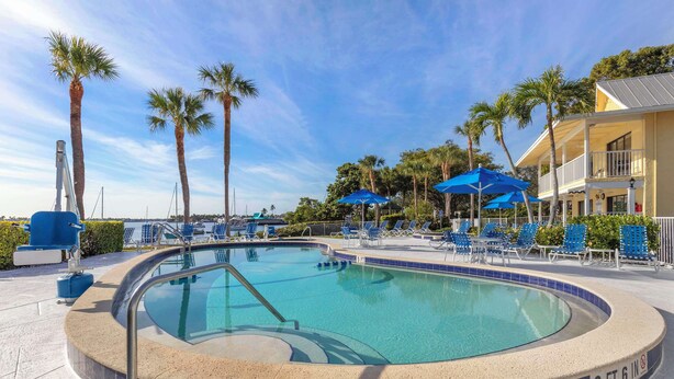 A swimming pool with a 3 ft 6 in depth, surrounded by lounge chairs and umbrellas, with palm trees and a building in the background. - Hilton Vacation Club Charter Club Naples Bay (Naples)